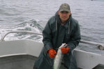 Every fish needs to be taken out of the net.